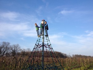 foto 1 (1)